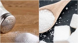 salt sugar