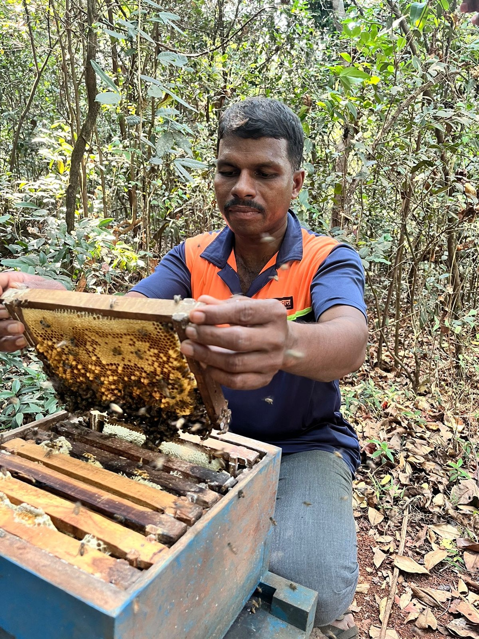 sambhaji desai, honeybee box, indian express