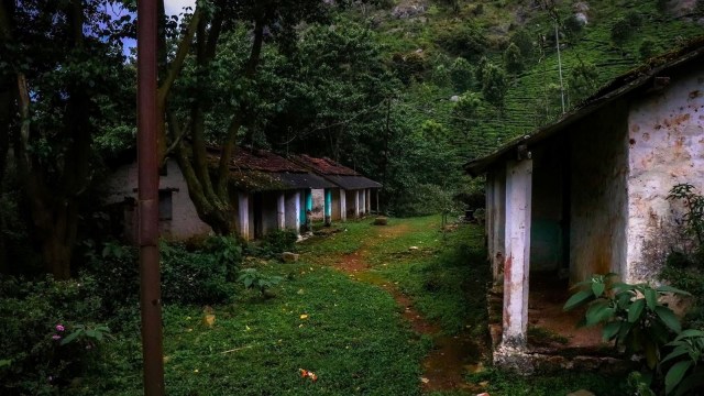 Indian-origin Tamils representation in parliament