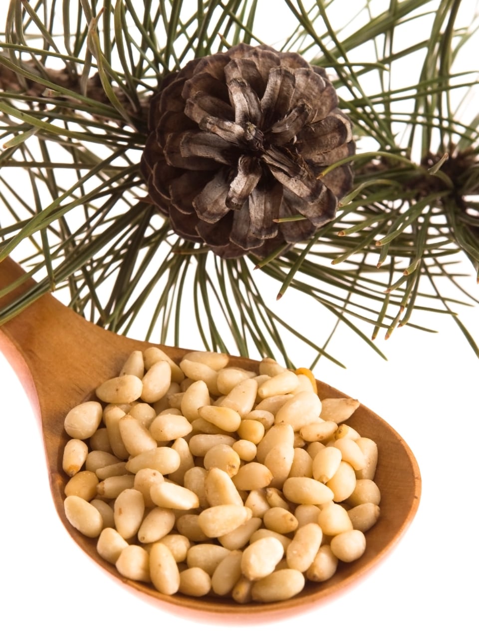 Health benefits of chilgoza nuts