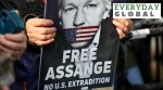wikileaks case