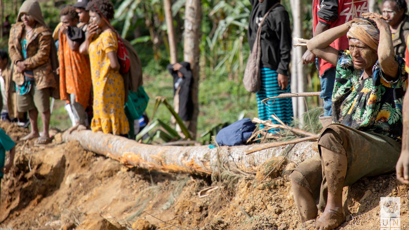 India to send $1 million aid to landslide-hit Papua New Guinea | India ...