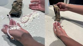 Miami International Airport, TSA security checkpoint, snakes in passenger's pants, airport security discovery, wildlife smuggling, Florida Fish and Wildlife Conservation Commission, contraband animals, hidden snakes in sunglasses bag, airport security incident, Transportation Security Administration (TSA).