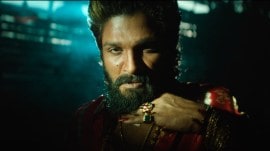 Allu Arjun in Pushpa The Rule