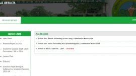 BSEH Haryana result 2024 declared