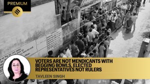 Lok Sabha elections, Voters