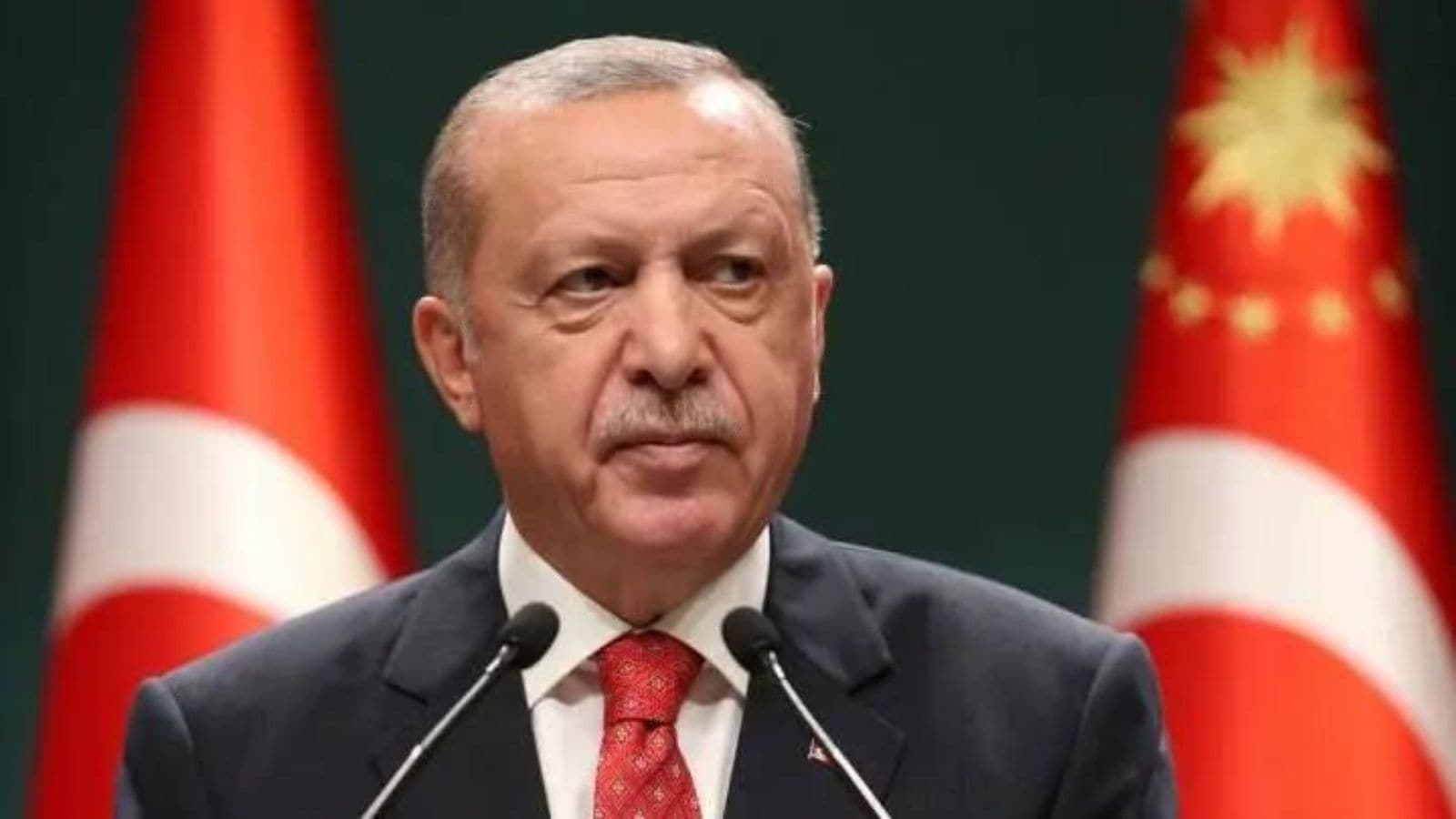 Tayyip Erdogan, U.S. college campus protests, Pro-Palestinian demonstrations, Police crackdowns, Columbia University protests,
