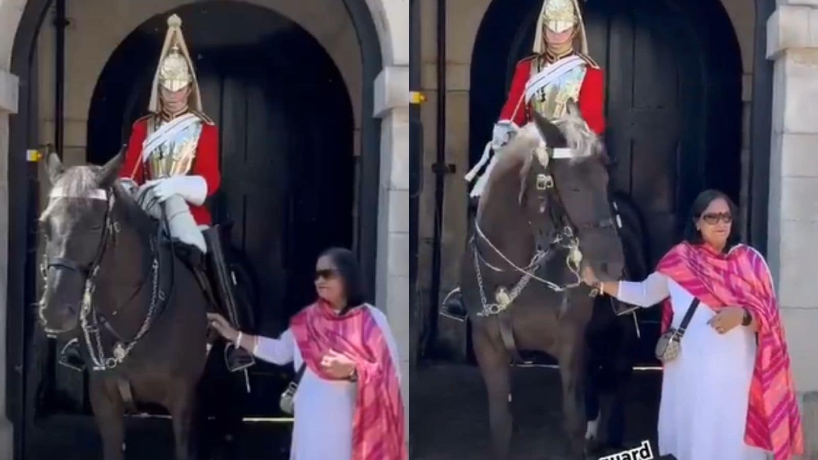 Watch: King’s Guard Horse Bites Indian Tourist Posing For Photo 