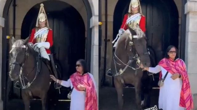 Watch: King’s guard horse bites Indian tourist posing for photo ...