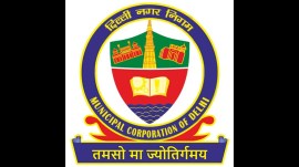AAP