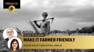 agricultural exports