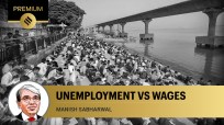 No, Pakistan’s employment picture isn’t better than India