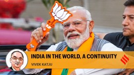 indian foreign policy