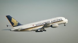 Singapore Airlines plane, indian national
