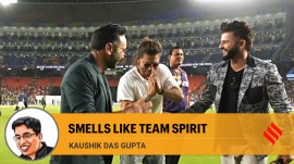 shah rukh khan, kkr vs srh, ipl 2024