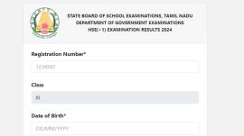 TN HSE +1 Result 2024: Students will be able to check their TN HSE results at the official websites -- tnresults.nic.in, dge.tn.gov.in.