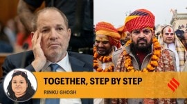 harvey weinstein, brij bhushan