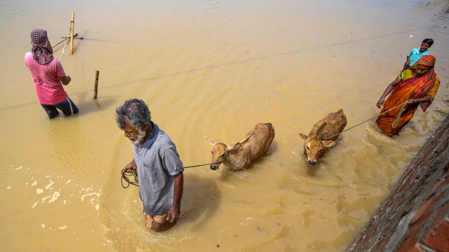Cyclone Remal: Flooding in Tripura