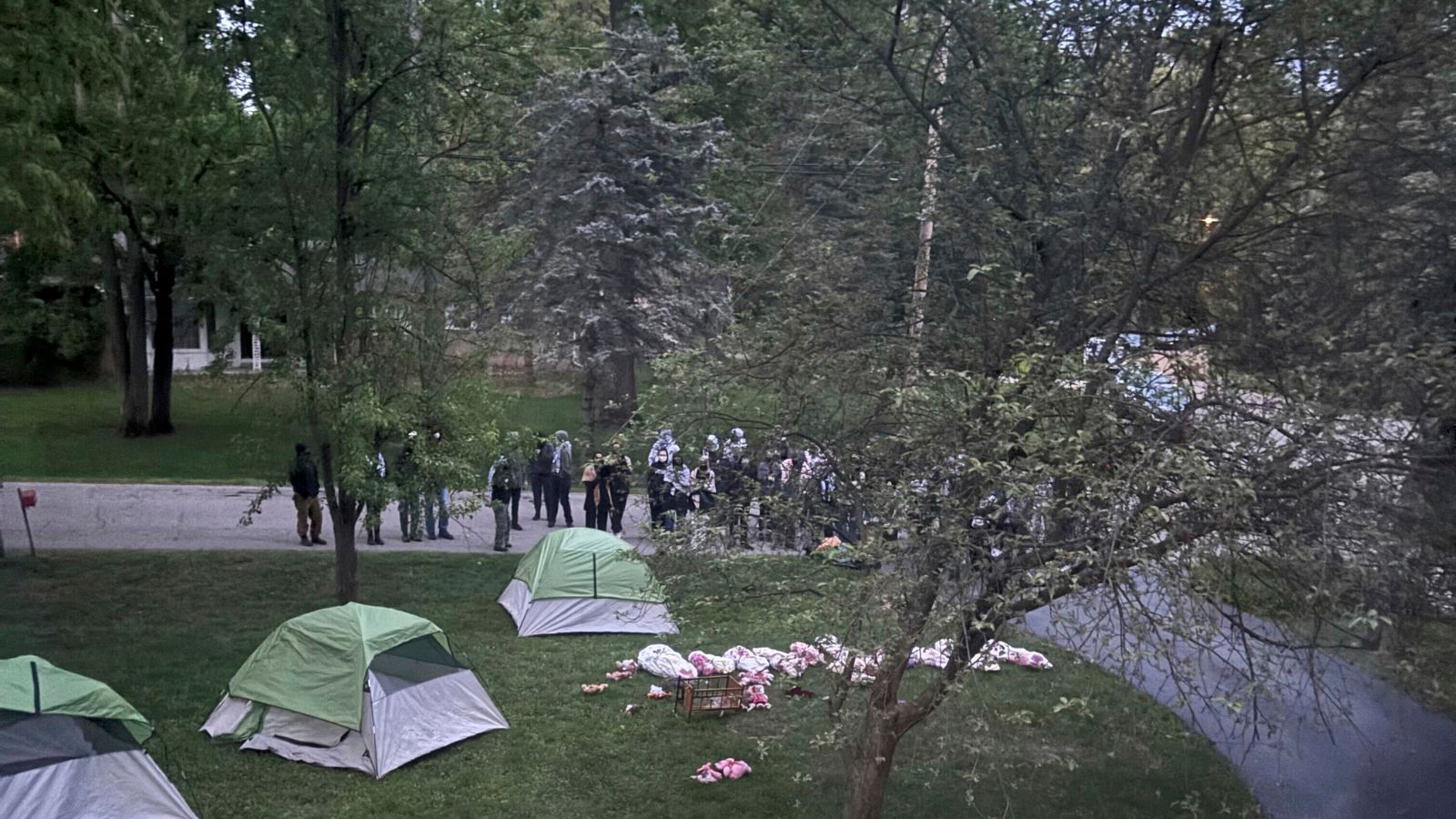 Police break up pro-Palestinian camp at the University of Michigan