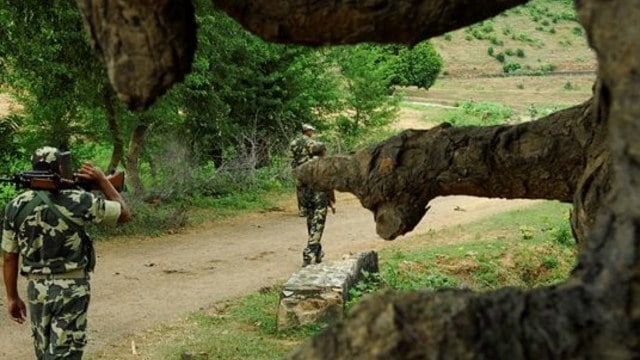 naxalite
