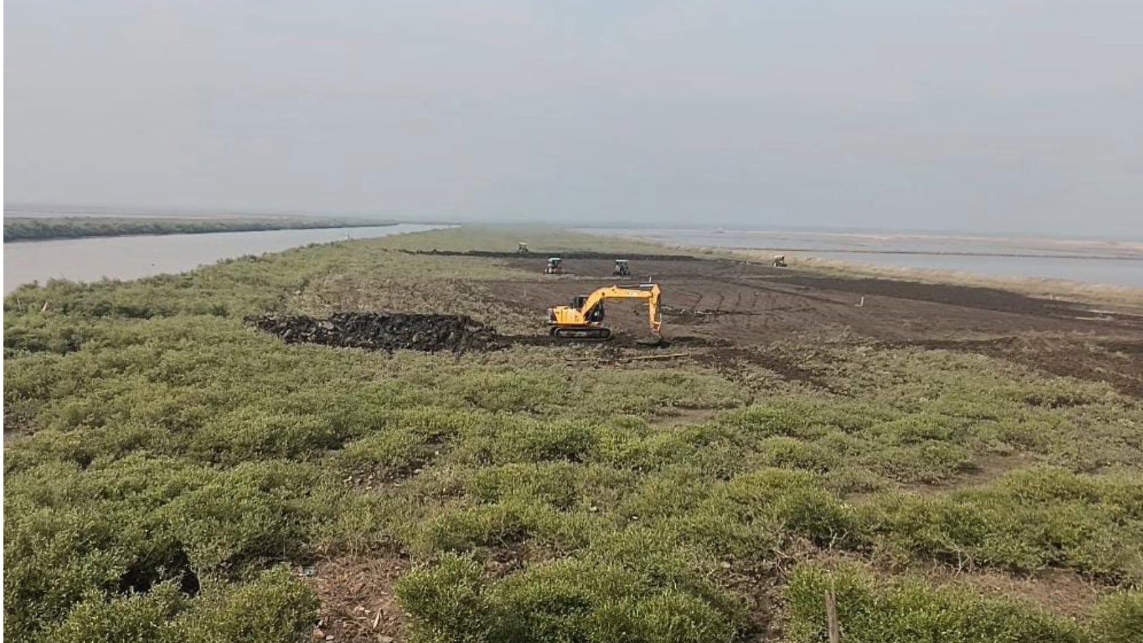 Amidst IPL fever, Gujarat govt flattens cricket ground developed by clearing mangroves in Amreli’s fragile coastal zone