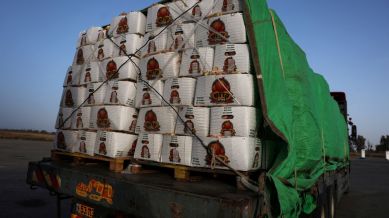 Aid trucks arrive in Gaza but no deliveries yet - sources