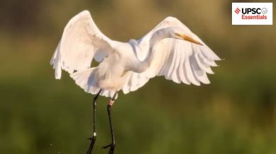 UPSC Daily subject-wise quiz : Environment, Geography, Sci-Tech (Week 57)