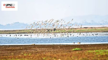 UPSC Daily subject-wise quiz : Environment, Geography, Sci-Tech (Week 60)