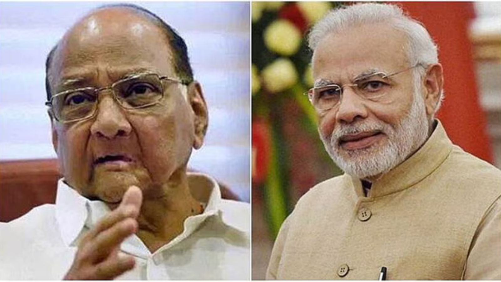 Sharad Pawar vs Narendra Modi