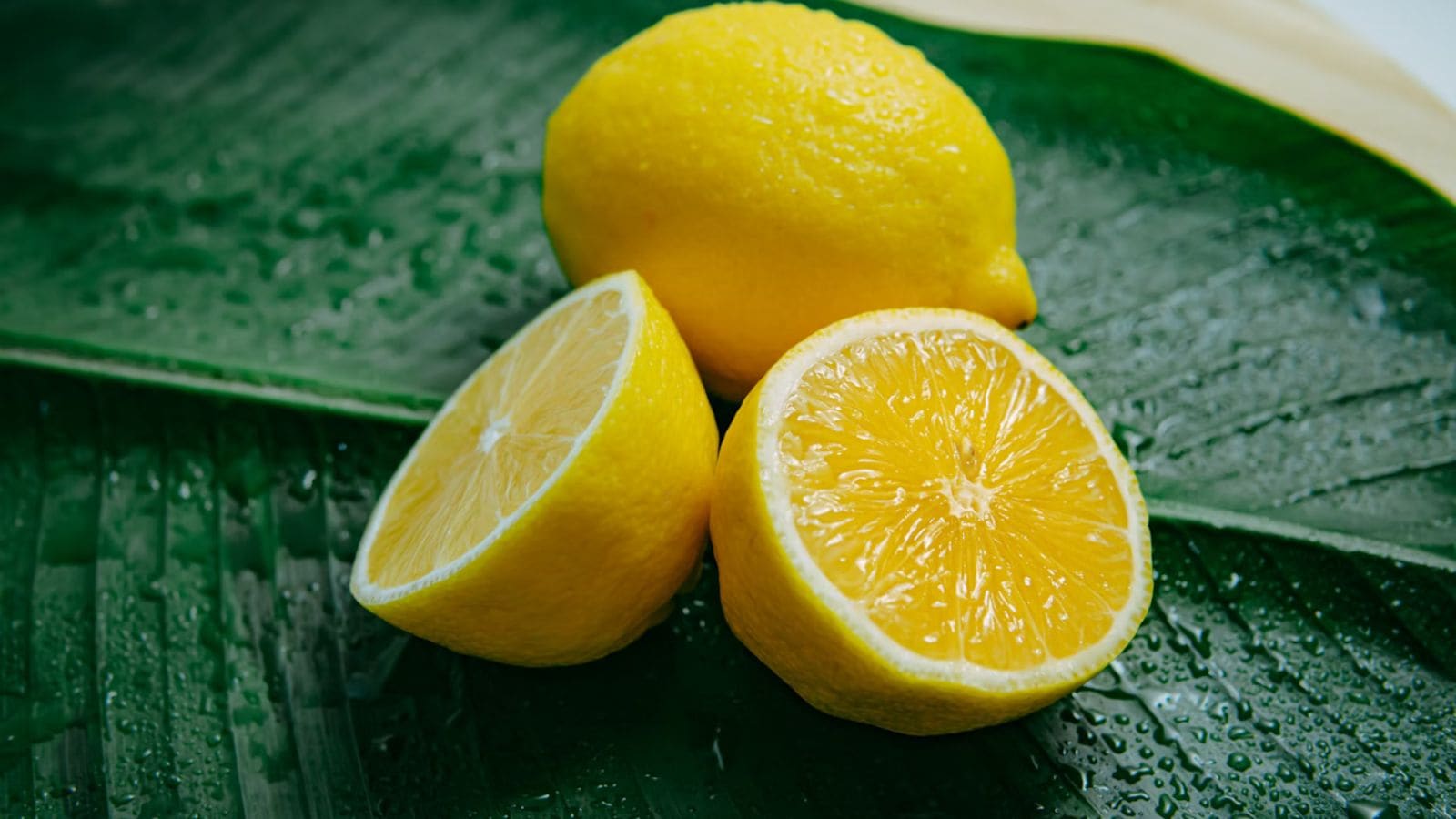 Snacking on whole lemons? Here’s what experts say about this viral ...