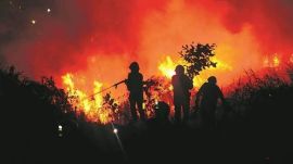 Elderly woman dies in Uttarakhand's raging forest fire, rains expected from May 7