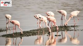UPSC Key | 22nd May, 2024 — Flamingos, Para-diplomacy, UNCCD and more