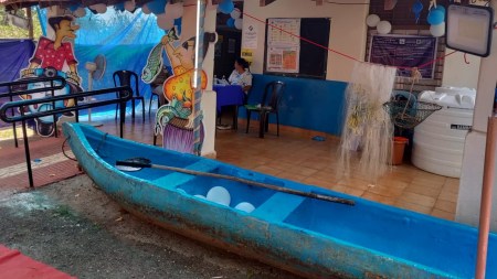 Voting day on a Goan island of 152 — two ferry rides, a decked up polling booth and crab for first-timers