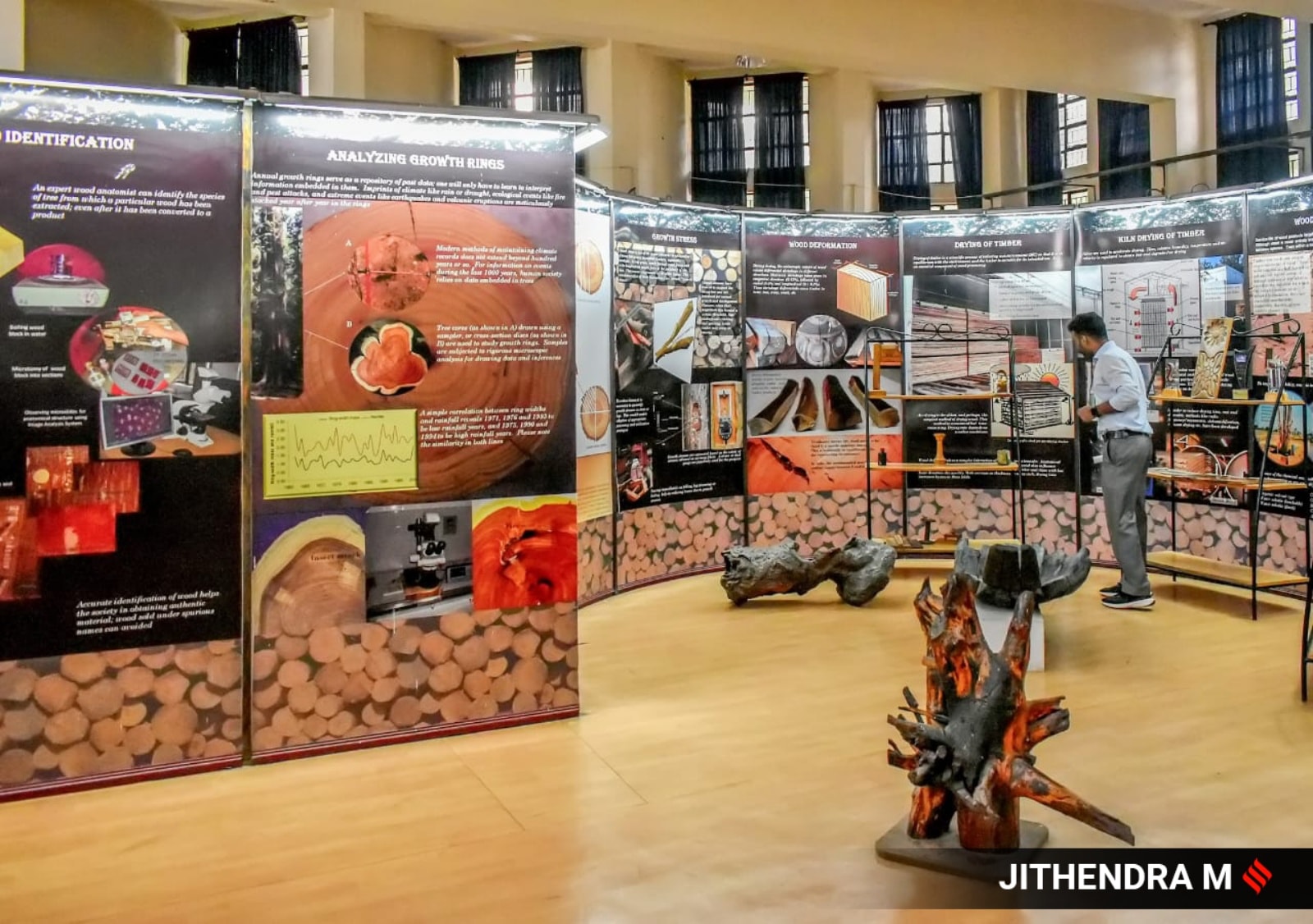 Other display cases show the various insects that depend on wood in their ecosystem. (Express Photo)