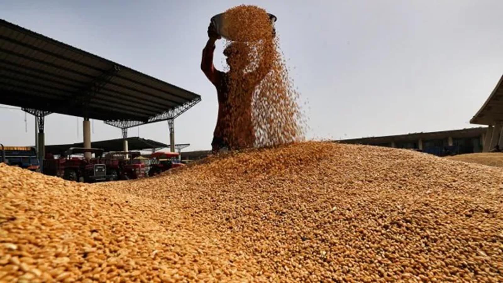 India set for wheat imports after six years, to shore up reserves