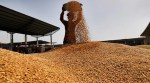 India expected to scrap wheat import duty after June