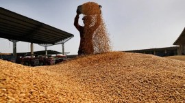 India expected to scrap wheat import duty after June