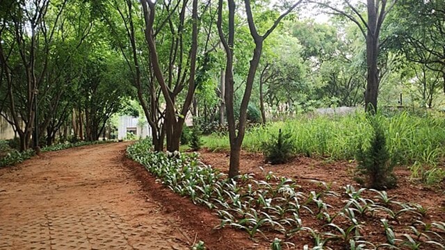 bengaluru park, indian express