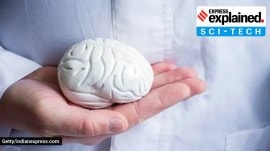 Ancient Egyptians might have tried to treat brain cancer: Study