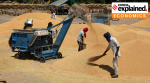 Punjab grain market