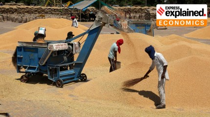 Why has private wheat purchase surged in Punjab?