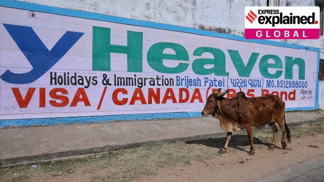 Canada LMIA