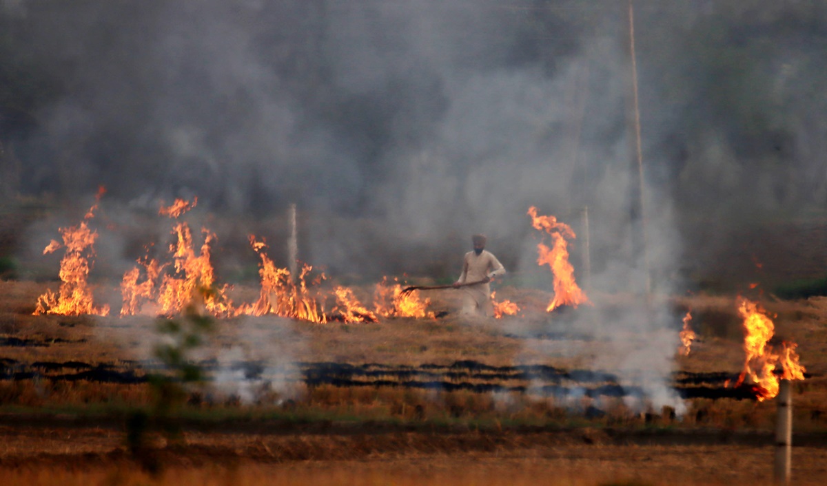 Paddy stubble being burnt at a field in Detwal village in Ludhiana. 