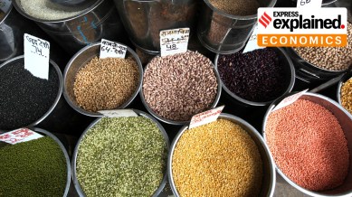 Dal, pulses