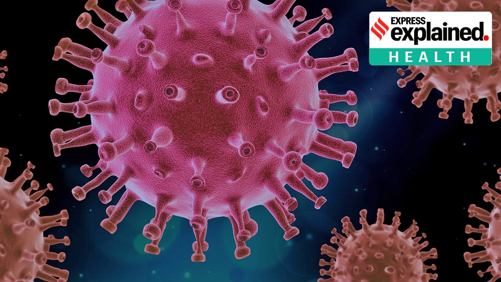 What is the new FLiRT variant of the Covid virus, and should you worry?