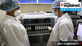 covid Covid virus is still here. Why aren’t more people falling ill?