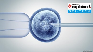 Representational/CRISPR.