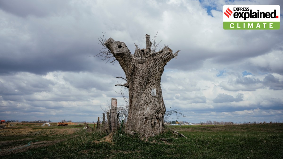 environmental change