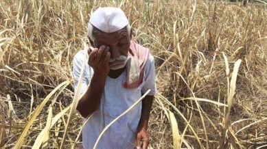 farmer suicide, farmer suicide cases, farmers ex-gratia benefits, Maharashtra, Bombay HC, farmers compensation eligiblity criteria, farmers ex-gratia payment, indian express news