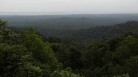 The National Green Tribunal’s principal bench had first taken up the matter suo moto in January this year.